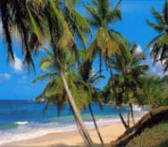 Cheap Flights to Ghana from 316.00, great offers from the Irie Travellers Club.